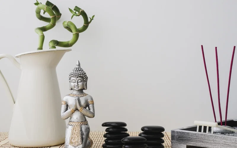 Feng Shui is an ancient Chinese science of harmonizing space to improve human health and well-being