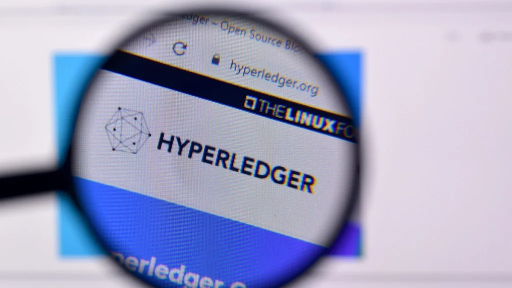 Hyperledger – переваги та недоліки